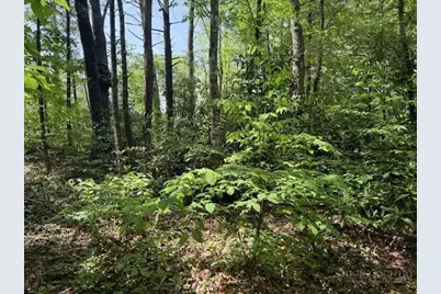 Lot 42 Linville River Lane, Linville, NC 28646 - Photo 14