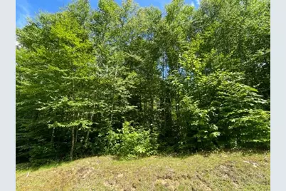 Lot 42 Linville River Lane, Linville, NC 28646 - Photo 8