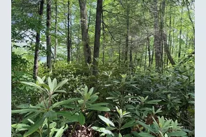 Lot 42 Linville River Lane, Linville, NC 28646 - Photo 12