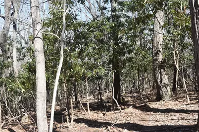 Lot 31 Hillside Lane, Jefferson, NC 28640 - Photo 1
