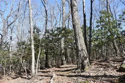 Lot 31 Hillside Lane, Jefferson, NC 28640 - Photo 2