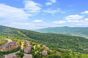 146 Pleasant Vw, Sugar Mountain, NC 28604 - Photo 38