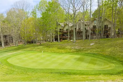 101 Golf View Drive #3, Beech Mountain, NC 28604 - Photo 4