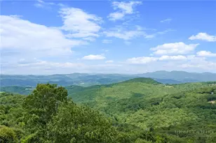 132 Grassy Gap Loop Rd, Beech Mountain, NC 28604 - Photo 6