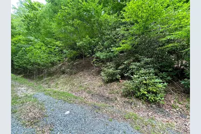 100 Chicory Lane, Beech Mountain, NC 28604 - Photo 2