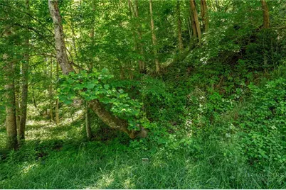 Tbd Smith Street, Vilas, NC 28692 - Photo 2