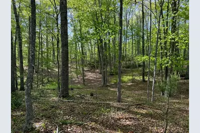 Tbd Weaver Ford Road, Grassy Creek, NC 28631 - Photo 12