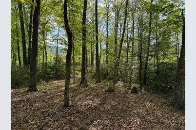 Tbd Weaver Ford Road, Grassy Creek, NC 28631 - Photo 10