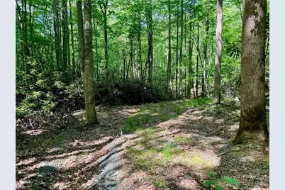 Lot 5A Buckeye Ridge Road, Beech Mountain, NC 28604 - Photo 2