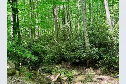 Lot 5A Buckeye Ridge Road, Beech Mountain, NC 28604 - Photo 12