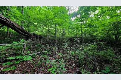 Lot 18 Elk Creek Mountain Parkway, Todd, NC 28684 - Photo 12