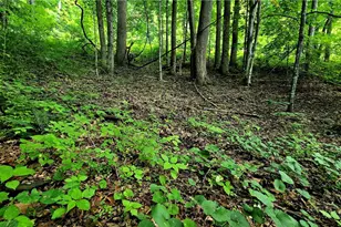Lot 18 Elk Creek Mountain Pkwy, Todd, NC 28684 - Photo 1