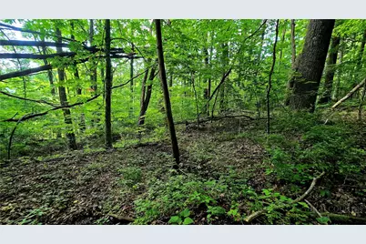 Lot 18 Elk Creek Mountain Parkway, Todd, NC 28684 - Photo 6