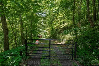 1260 Fork Ridge Road, Zionville, NC 28698 - Photo 46