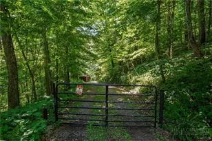 1260 Fork Ridge Rd, Zionville, NC 28698 - Photo 46