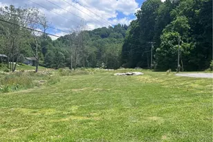 31 Barlow Rd, Elk Park, NC 28622 - Photo 6