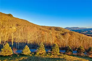 76 Vly Watch Ct, Banner Elk, NC 28604 - Photo 42