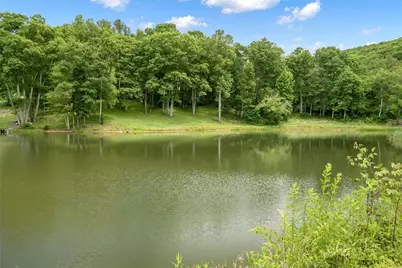 182 Braswell Road, Newland, NC 28657 - Photo 6