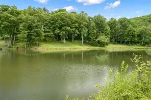 182 Braswell Rd, Newland, NC 28657 - Photo 6