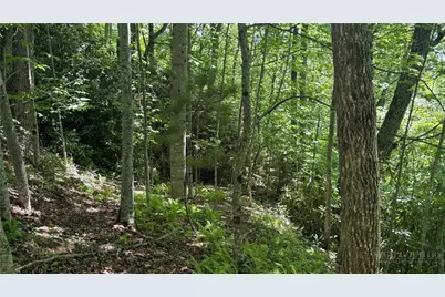 Tbd Newbiggin, Boone, NC 28607 - Photo 2