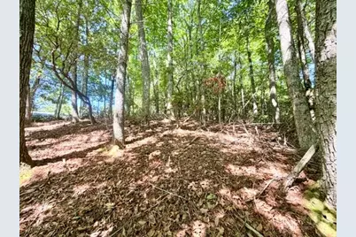 Lot 48 & 49 Davis Acres, West Jefferson, NC 28694 - Photo 8