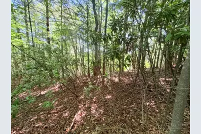 Lot 48 & 49 Davis Acres, West Jefferson, NC 28694 - Photo 10