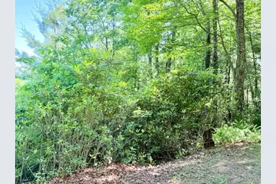 Lot 48 & 49 Davis Acres, West Jefferson, NC 28694 - Photo 14