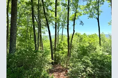 Lot 48 & 49 Davis Acres, West Jefferson, NC 28694 - Photo 1