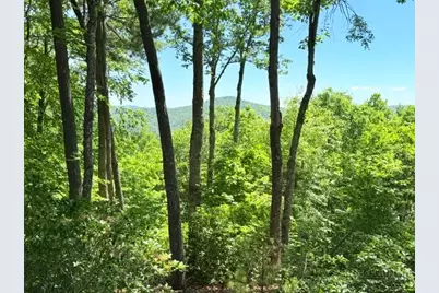 Lot 48 & 49 Davis Acres, West Jefferson, NC 28694 - Photo 2