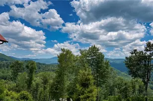 8 Long Crested Dr, Banner Elk, NC 28604 - Photo 10