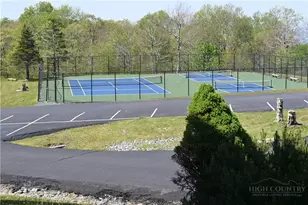 3114 Pinnacle Inn Rd, Beech Mountain, NC 28604 - Photo 18