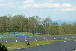 3114 Pinnacle Inn Rd, Beech Mountain, NC 28604 - Photo 20