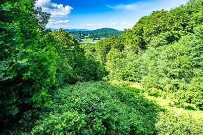 354 Brown Mountain Ridge Road, Blowing Rock, NC 28605 - Photo 28