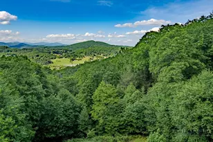 354 Brown Mountain Ridge Rd, Blowing Rock, NC 28605 - Photo 22