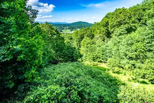 354 Brown Mountain Ridge Rd, Blowing Rock, NC 28605 - Photo 28