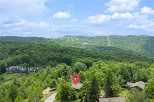 106 Upper Grouse Ridge Rd, Beech Mountain, NC 28604 - Photo 6
