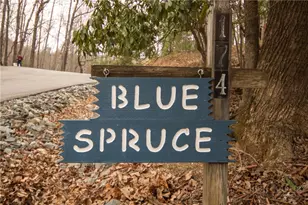174 Horse Shoe Ridge Rd, Deep Gap, NC 28618 - Photo 26