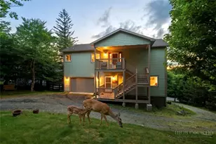 215 N Pinnacle Ridge Rd, Beech Mountain, NC 28604 - Photo 2
