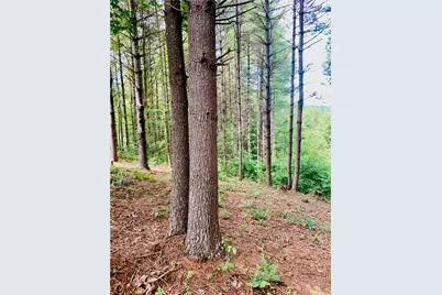 1.34 Acres - Lot 234 Waterfall Lane, Lenoir, NC 28645 - Photo 2