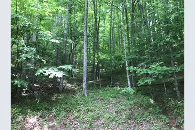 128 Hideaway, Crumpler, NC 28617 - Photo 2
