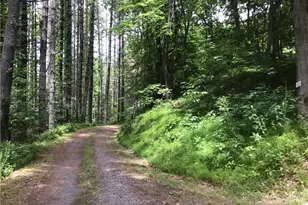 128 Hideaway, Crumpler, NC 28617 - Photo 1