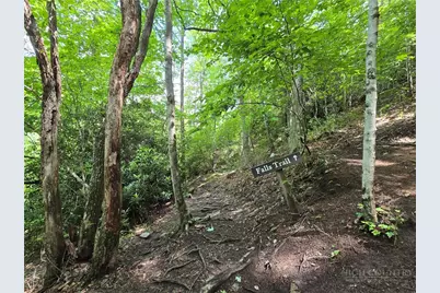 825 Pine Ridge Road, Beech Mountain, NC 28604 - Photo 34