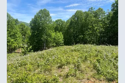 Lot 5 Madison Lane, West Jefferson, NC 28640 - Photo 2