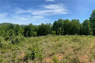 Lot 5 Madison Ln, West Jefferson, NC 28640 - Photo 1