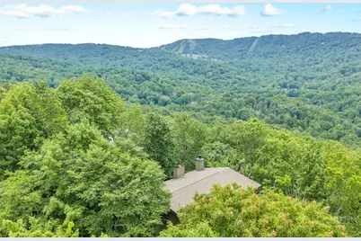 140 Lower Grouse Ridge Road, Beech Mountain, NC 28604 - Photo 42
