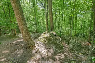 387 Woodland Ridge, Lansing, NC 28643 - Photo 12