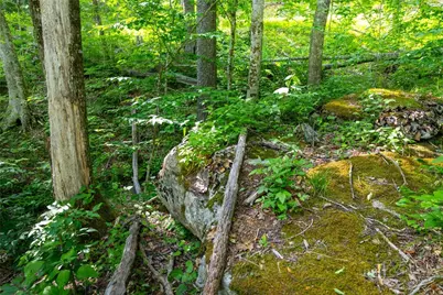 G14 Great Camp Trail, Banner Elk, NC 28604 - Photo 6