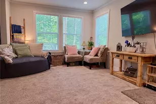 4483 Hickory Nut Gap Rd, Banner Elk, NC 28604 - Photo 10
