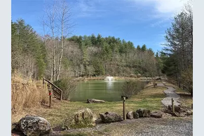 605 Valley View Drive, Purlear, NC 28665 - Photo 48