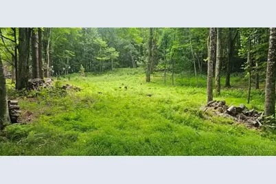 Tbd Beech Nut Drive, West Jefferson, NC 28694 - Photo 2
